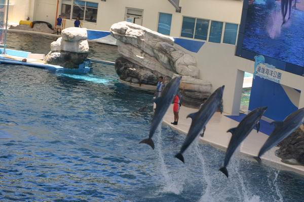 環島遊記第三天 環島遊記第三天