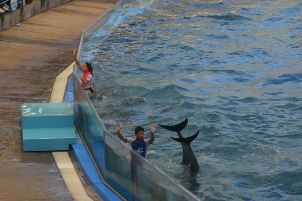 環島遊記第三天 環島遊記第三天