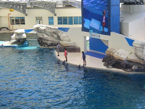 環島遊記第三天 環島遊記第三天