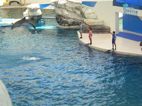 環島遊記第三天 環島遊記第三天