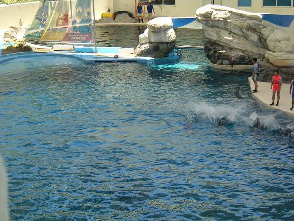 環島遊記第三天 環島遊記第三天