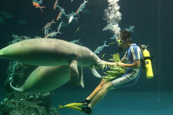 環島遊記第三天 環島遊記第三天