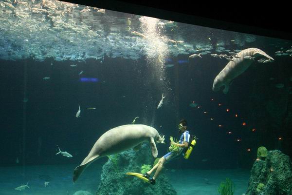 環島遊記第三天 環島遊記第三天