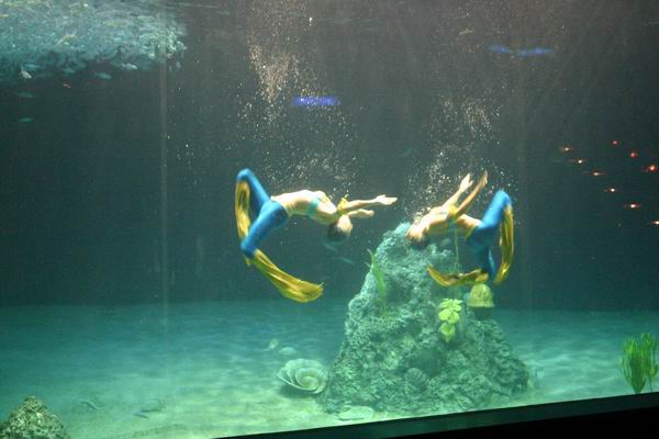 環島遊記第三天 環島遊記第三天