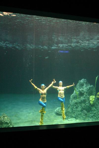 環島遊記第三天 環島遊記第三天