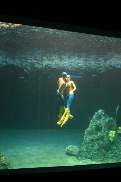 環島遊記第三天 環島遊記第三天