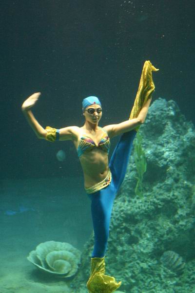 環島遊記第三天 環島遊記第三天