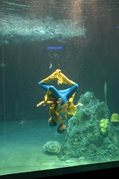 環島遊記第三天 環島遊記第三天