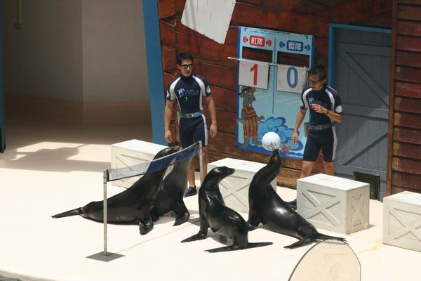 環島遊記第三天 環島遊記第三天