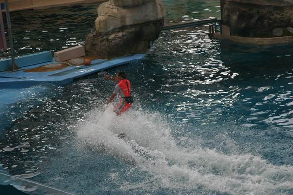 環島遊記第三天 環島遊記第三天