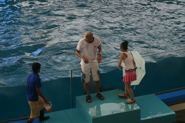 環島遊記第三天 環島遊記第三天