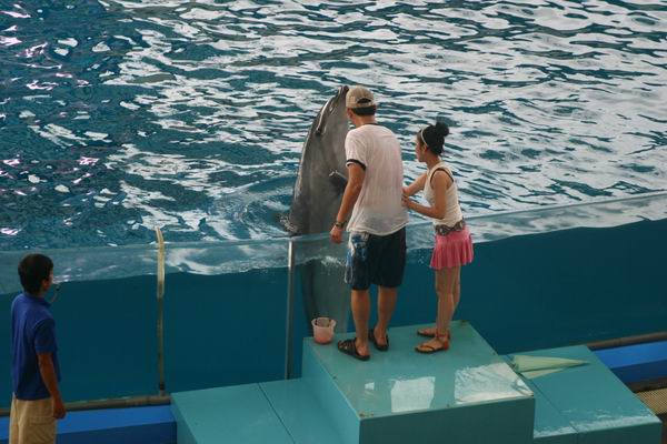 環島遊記第三天 環島遊記第三天