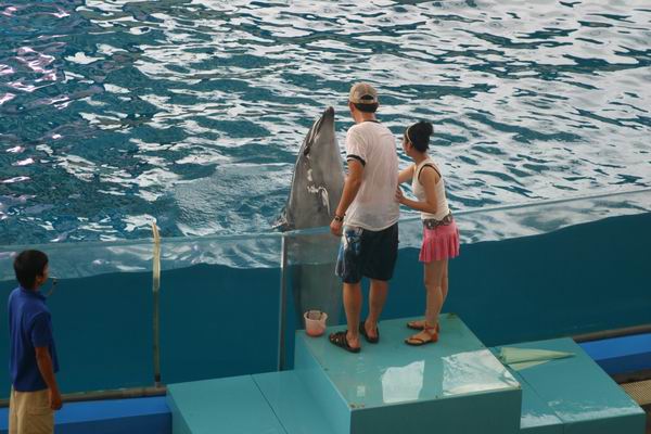 環島遊記第三天 環島遊記第三天