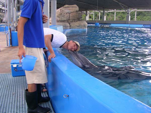 環島遊記第三天 環島遊記第三天