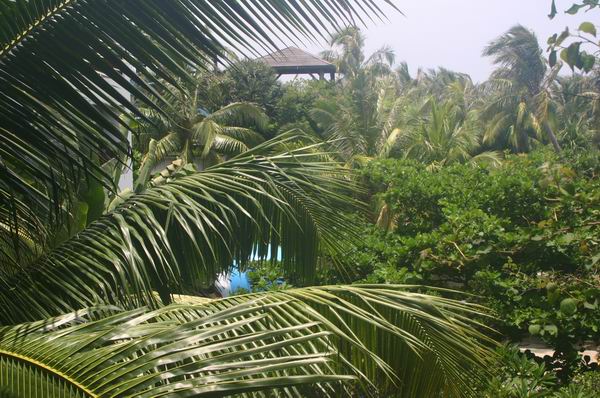 環島遊記第五天 環島遊記第五天